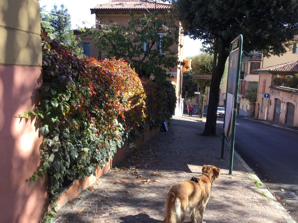 B&B La Castagnina Bologna Eksteriør bilde